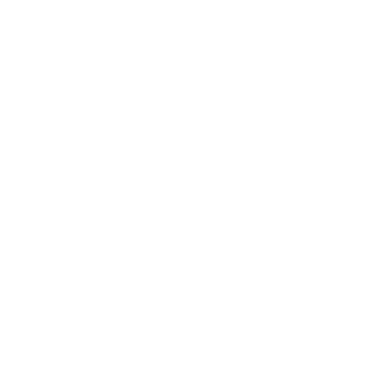 Identification Icon